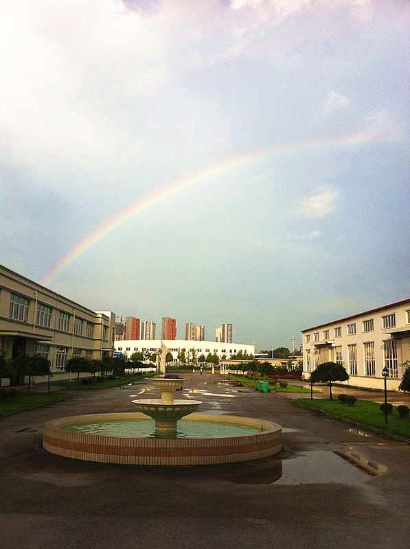 生活類 彩虹下的魅力奧龍-王壽國_副本.jpg